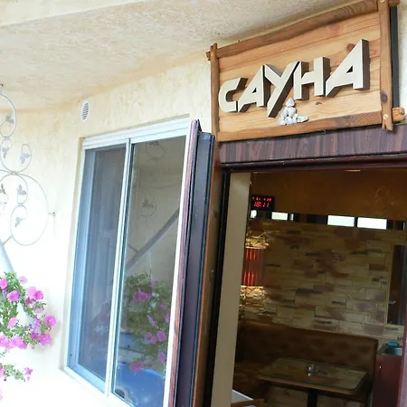 дом